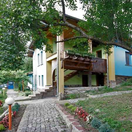 Chuchi Guest House 1 Zlatna Panega Экстерьер фото