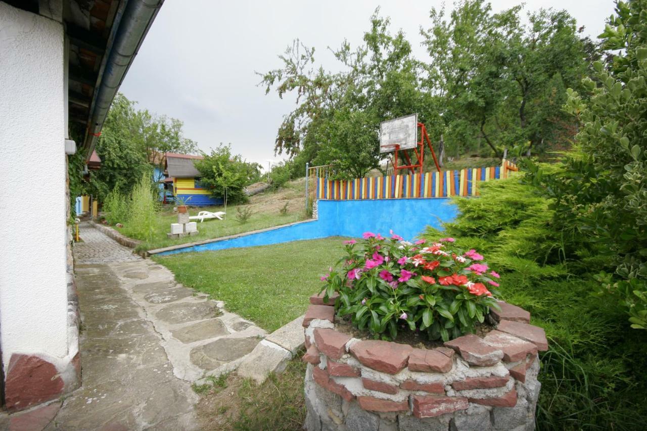 Chuchi Guest House 1 Zlatna Panega Экстерьер фото