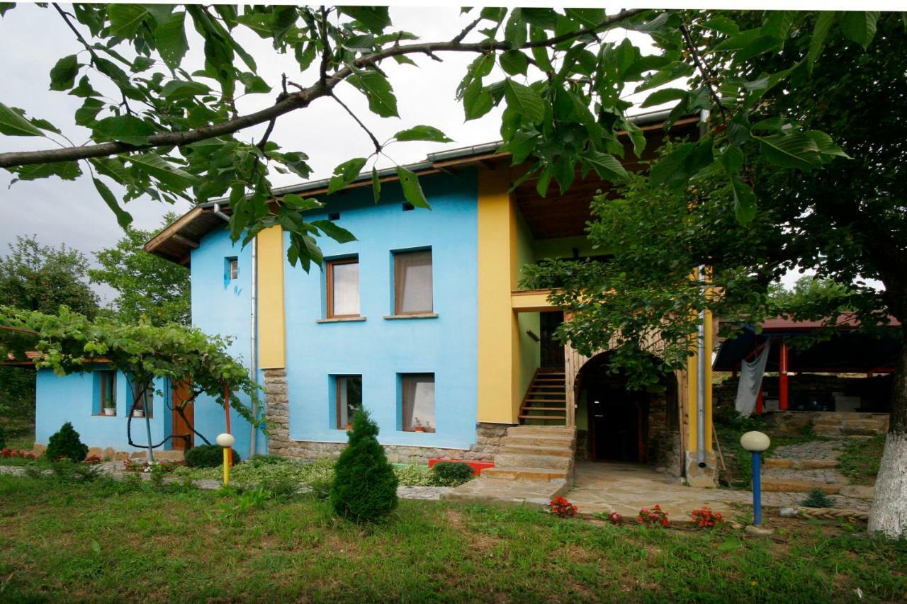 Chuchi Guest House 1 Zlatna Panega Экстерьер фото