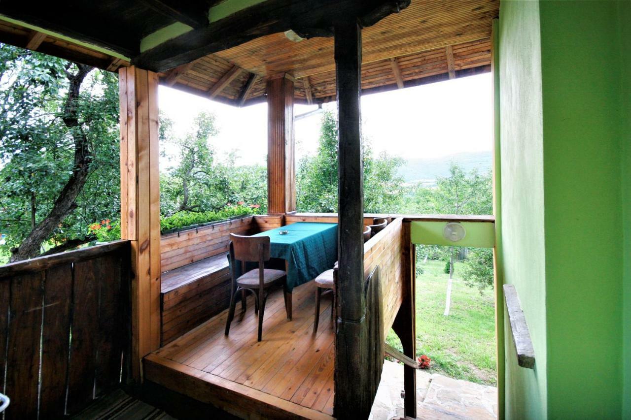Chuchi Guest House 1 Zlatna Panega Экстерьер фото