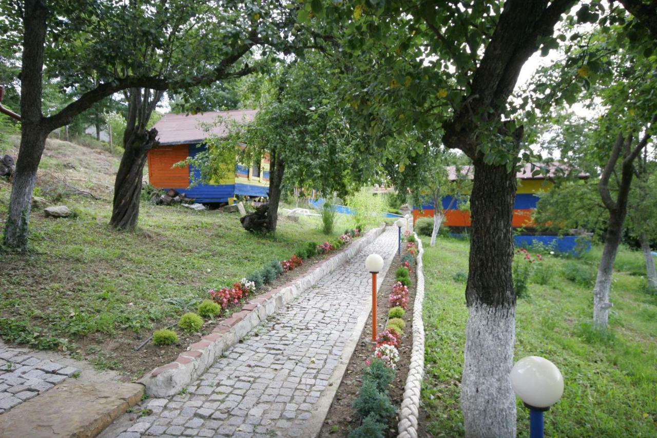 Chuchi Guest House 1 Zlatna Panega Экстерьер фото